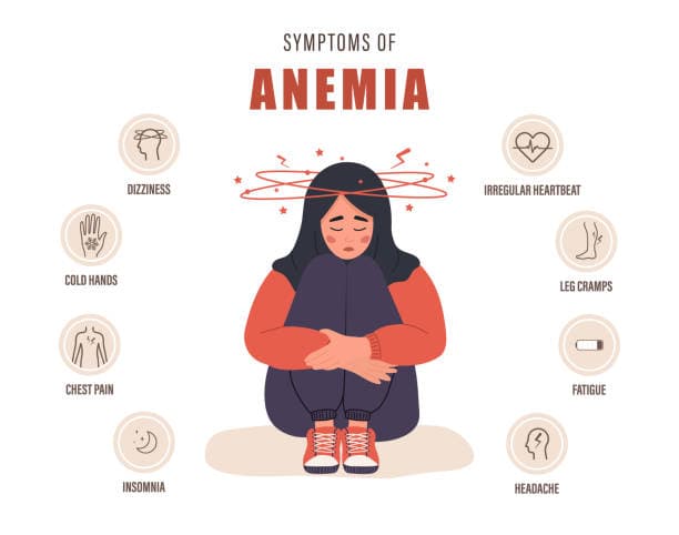 Iron Deficiency Causes