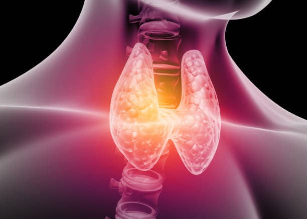 Thyroid Anxiety Causes