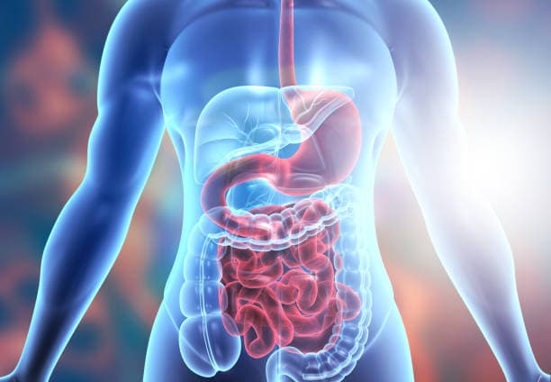 Timeline Graphic for Appendicitis Surgery Recovery