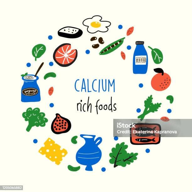 Illustration of calcium-rich foods for women