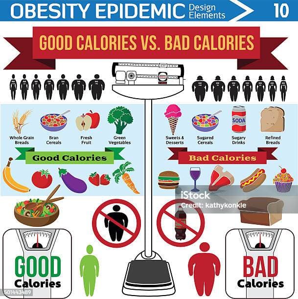 Factors affecting daily calorie needs infographic