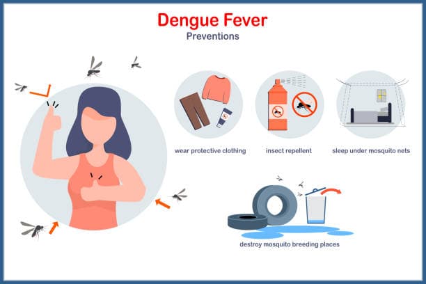Prevention tips for dengue and typhoid