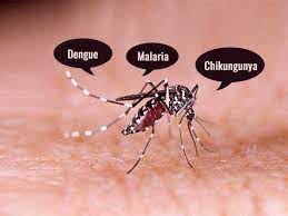 Dengue vs malaria symptom differences