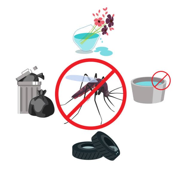 Mosquito prevention tips