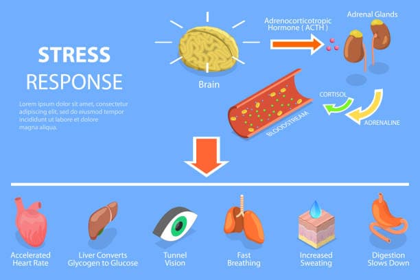 Anxiety Causes Illustration