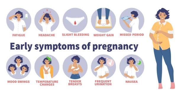 Pregnancy symptoms timeline