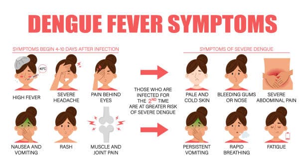 Common early symptoms of dengue fever