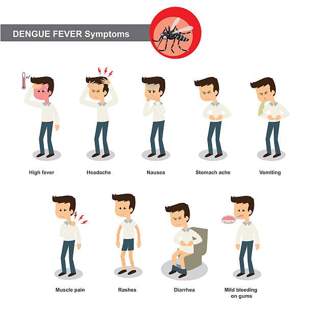 Final infographic on dengue symptoms