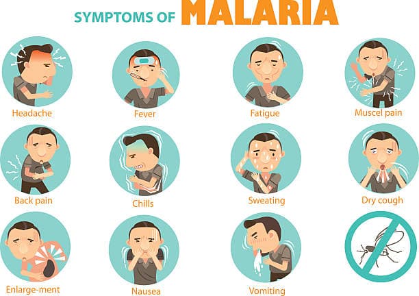 Common early malaria symptoms infographic