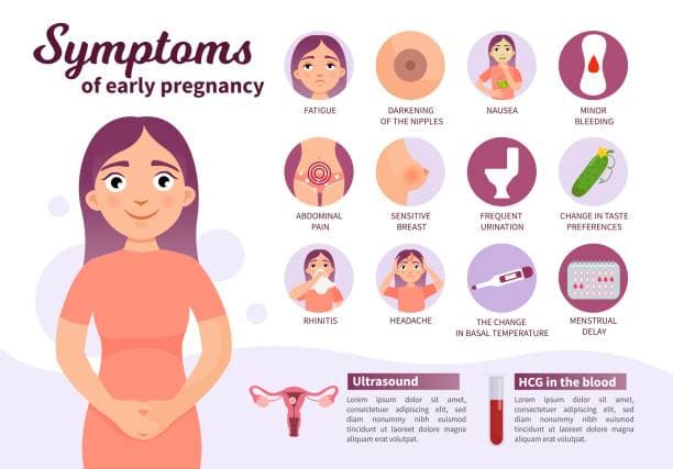 Infographic on pregnancy fatigue causes