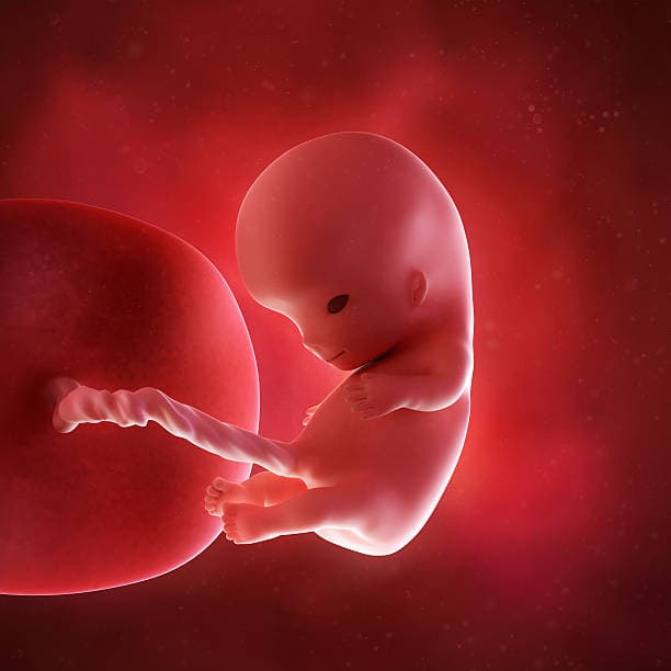 Implantation Bleeding Explanation