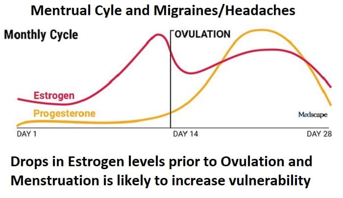 Diagram of hormonal migraine symptoms