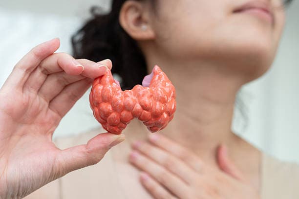 Symptoms of hyperthyroidism explained