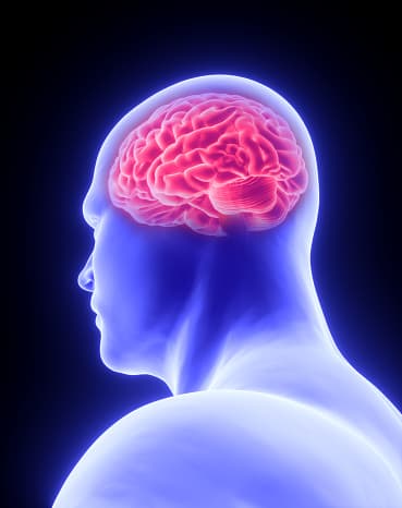Neurological symptoms of lupus illustration