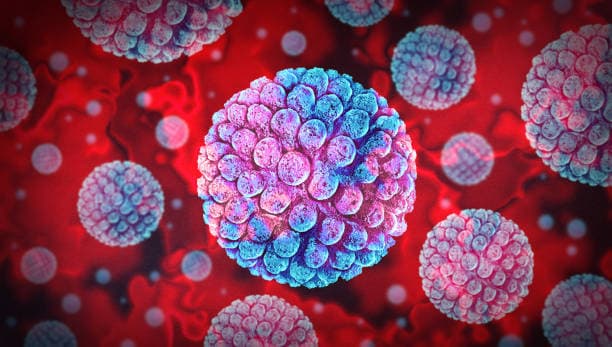 Fever During Norovirus Infection