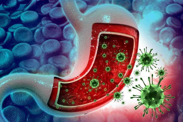 Norovirus Recovery Timeline