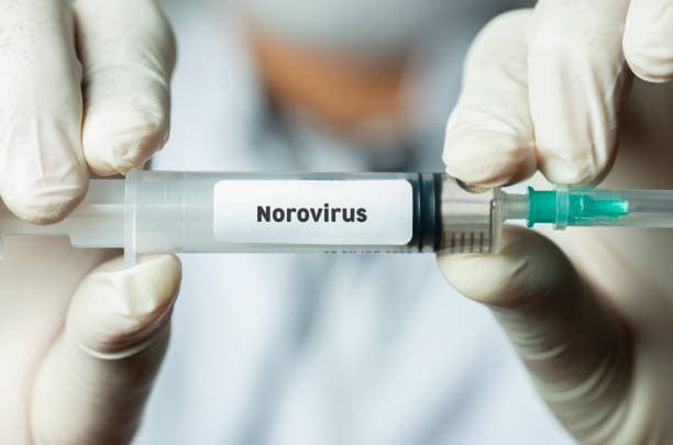 Norovirus Recovery Tips