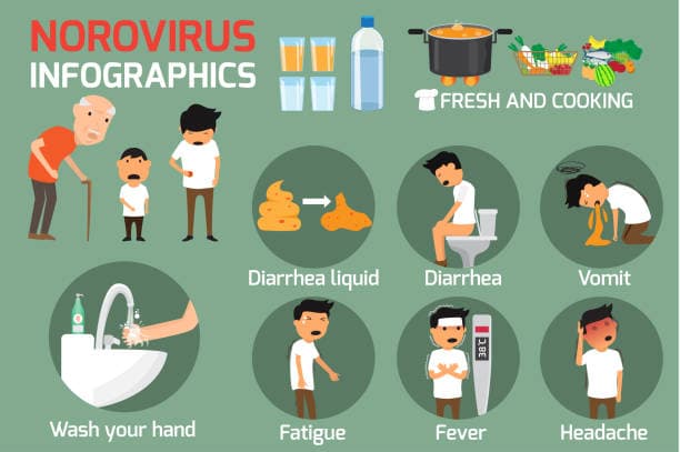 Signs of Norovirus Recovery