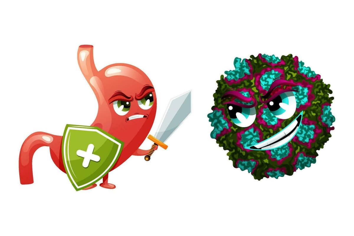 Comparison of norovirus vs stomach flu symptoms