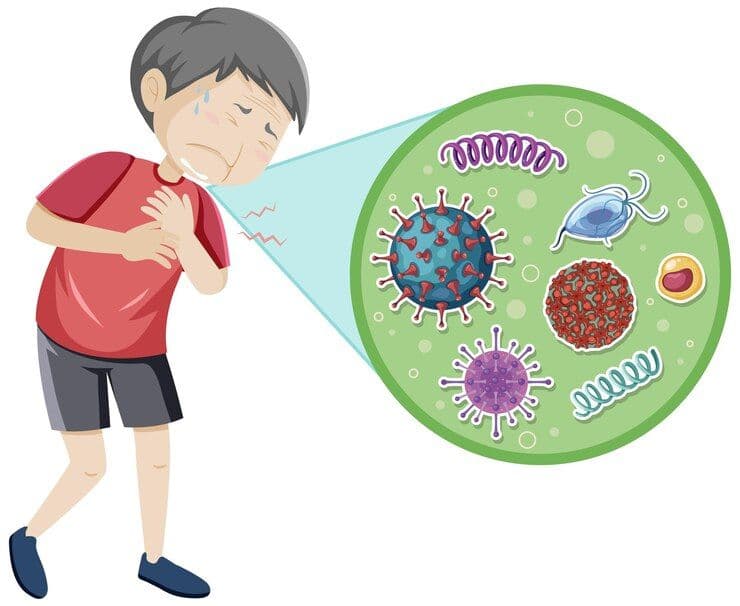 Visual guide to norovirus vs stomach flu symptoms