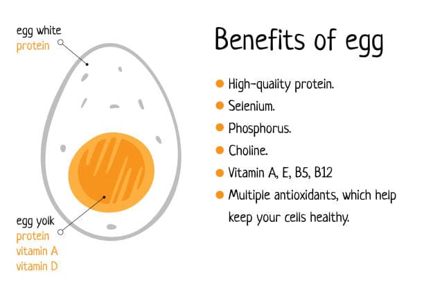 Nutritional breakdown chart for eggs showing health benefits