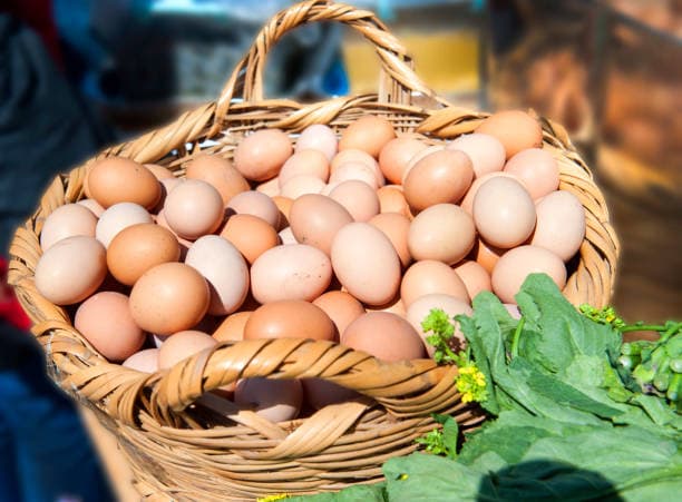 A fresh basket of eggs representing the nutrition value of eggs