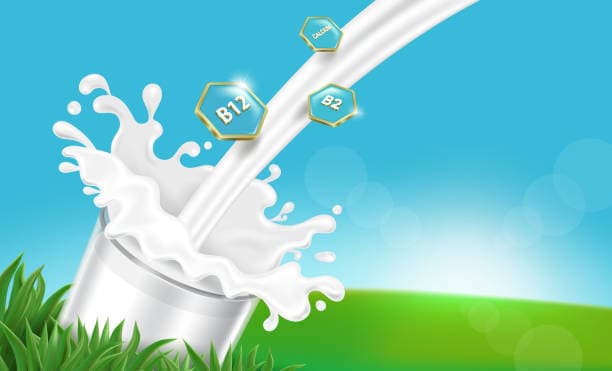 Nutrition Value of Milk Overview