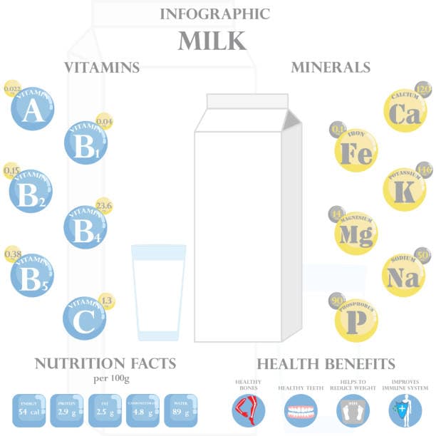 Health Benefits of Milk Infographic