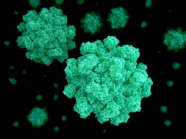 Dehydration from Severe Norovirus