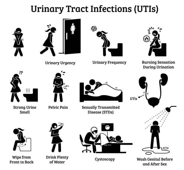 Risk factors graphic for UTIs