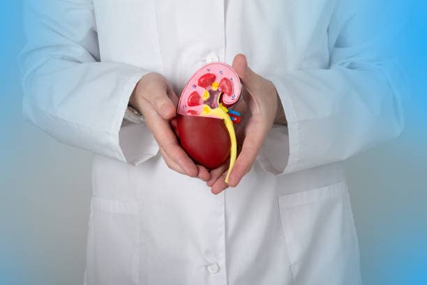 Infographic on kidney disease symptoms including early signs and risk factors